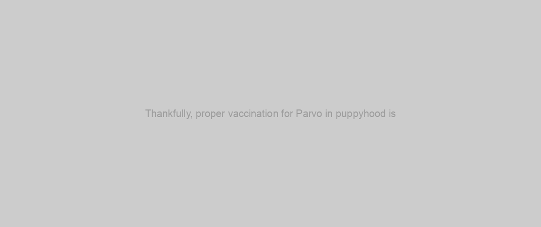 Thankfully, proper vaccination for Parvo in puppyhood is
